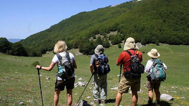 Calabria, l'invito di 