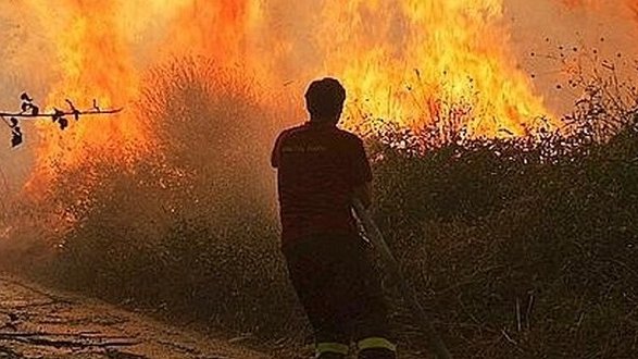 Lotta incendi boschivi: convenzione tra Vigili del Fuoco e Calabria Verde