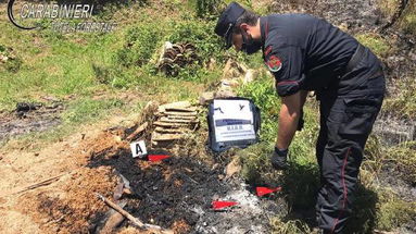 Da fuoco ai residui della potatura e incendia un bosco. Denunciato un sessantenne