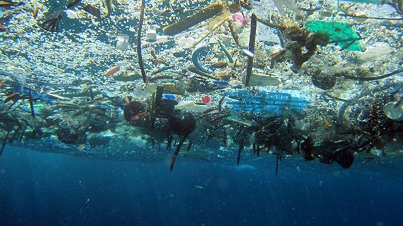Domani è la Giornata degli Oceani e dei mari... ancora invasi dalla plastica