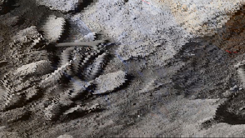Incredibile scoperta archeologica a San Lorenzo Bellizzi: resti umani risalenti a 14mila anni fa