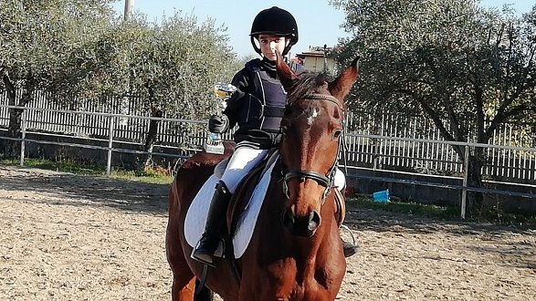 Equitazione: Nicolò Milieni primo posto al concorso Mipaf