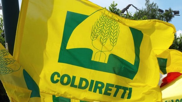 Coldiretti Calabria: gli agricoltori muniti di licenza di caccia autorizzati ad abbattere i cinghiali