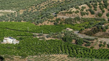 Valli Colagnati e Coriglianeto su media nazionali: Corigliano Rossano protagonista