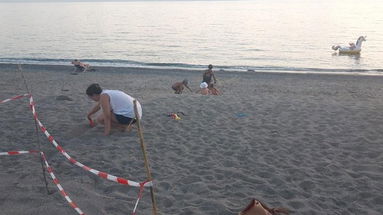 Salvataggio Caretta Caretta, De Caprio: «È l'amore per la vita della gente calabrese»