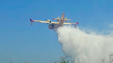 Cufari: «Le attuali modalità di contrasto agli incendi devono andare oltre»