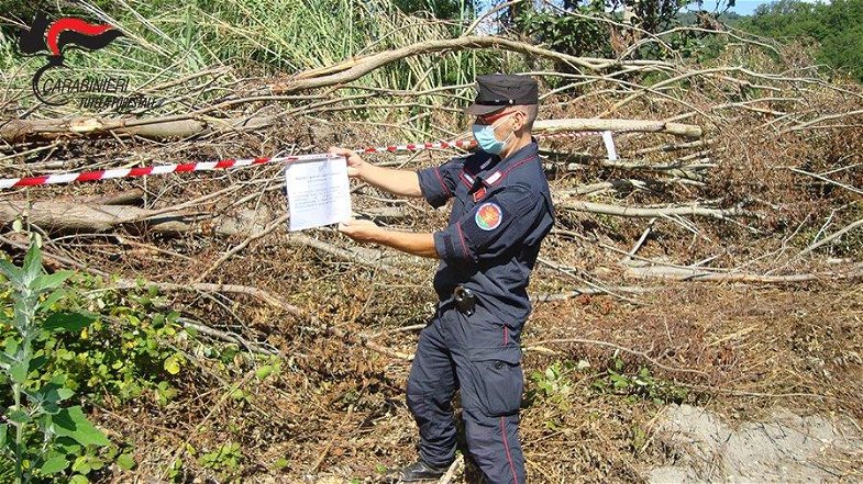 I Carabinieri Forestale denunciano due persone per combustione illecita di rifiuti e taglio abusivo