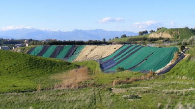 UDC: «Il Sindaco ecologista risolva la bomba ambientale di Cotrica»