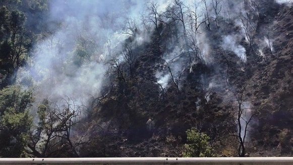 Incendio boschivo causato da lavori sull’Autostrada. Due persone denunciate