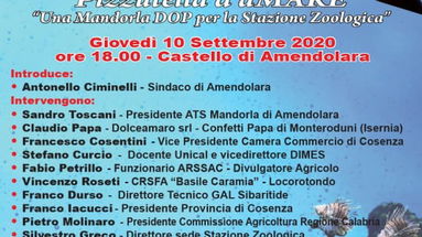 Ad Amendolara la seconda edizione della Festa della Mandorla