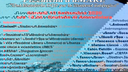 Ad Amendolara la seconda edizione della Festa della Mandorla