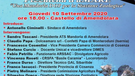 Ad Amendolara la seconda edizione della Festa della Mandorla