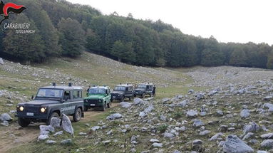 Accendono fuochi dentro un’area protetta: turisti sanzionati