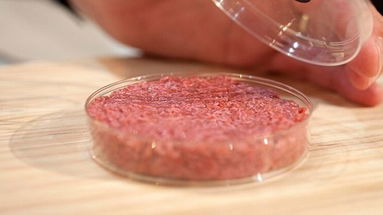 L’Europa da il via libera alla carne finta, un inganno per i consumatori e per le nostre produzioni