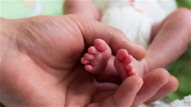 Neonatologia, l'Annunziata aderisce alla giornata mondiale della prematurità