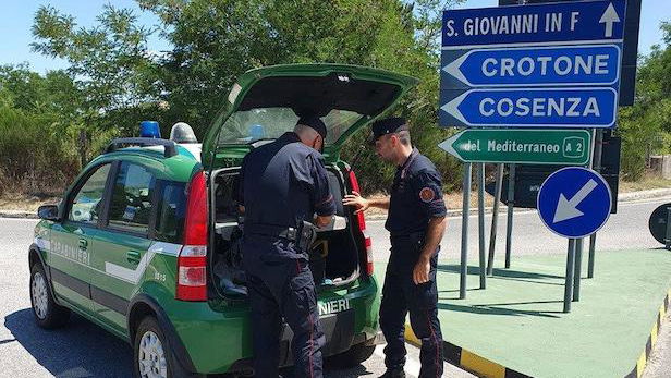 San Giovanni in Fiore: incendio boschivo, notificato avviso nei confronti di un uomo del luogo