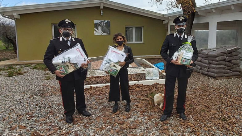 Carabinieri forestali in corsia, un Natale speciale per i piccoli degenti