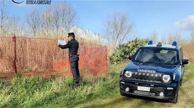 Scarichi fognari, controlli e denunce dei Carabinieri Forestali