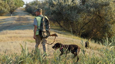 Caccia, stagione chiusa in Calabria: l'ISPRA dice no alla proroga fino al 10 febbraio