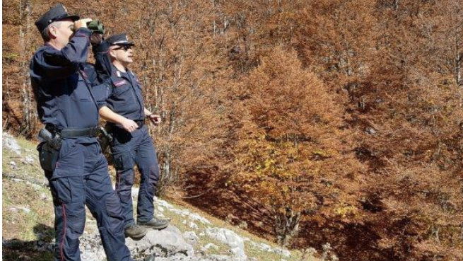Tutela del Parco del Pollino: il bilancio 2020 dell’Arma Forestale