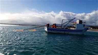 Campagna sperimentale pesca della sardella il plauso dell'amministrazione di Corigliano-Rossano