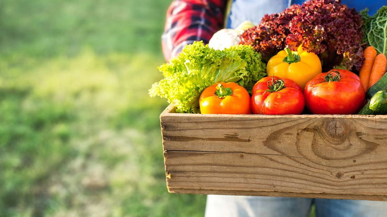 Coldiretti Calabria: «A trainare la transizione ecologica deve essere l’agroalimentare»