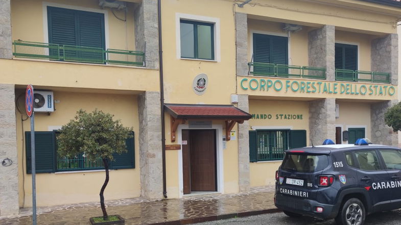 Paludi: denunciato uomo per macellazione clandistina di maiale. Norme non rispettate e carne del suino sequestrata