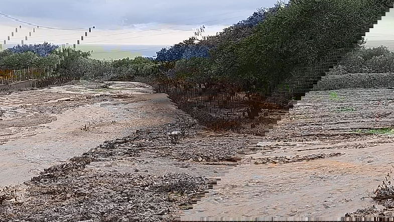 Dissesto idrogeologico, a che punto è la messa in sicurezza del torrente Acqua del Fico?