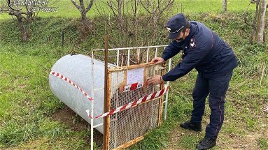 Tutela della fauna: i Carabinieri sequestrano una trappola illecita 