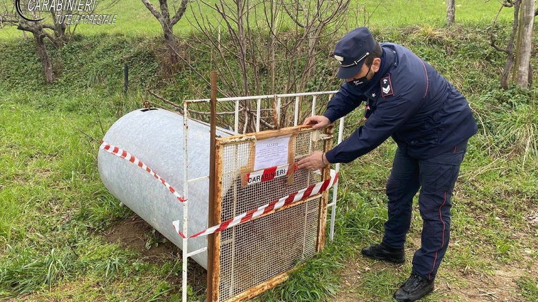 Tutela della fauna: i Carabinieri sequestrano una trappola illecita