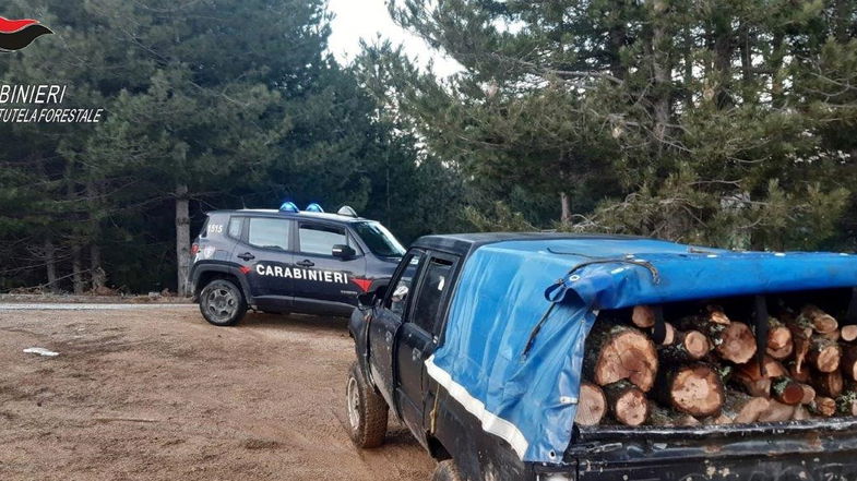 Corigliano-Rossano, arrestato 70enne per furto di legna 