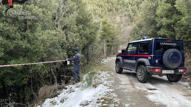 Morano, sequestri e denunce per tagli boschivi nel parco del Pollino