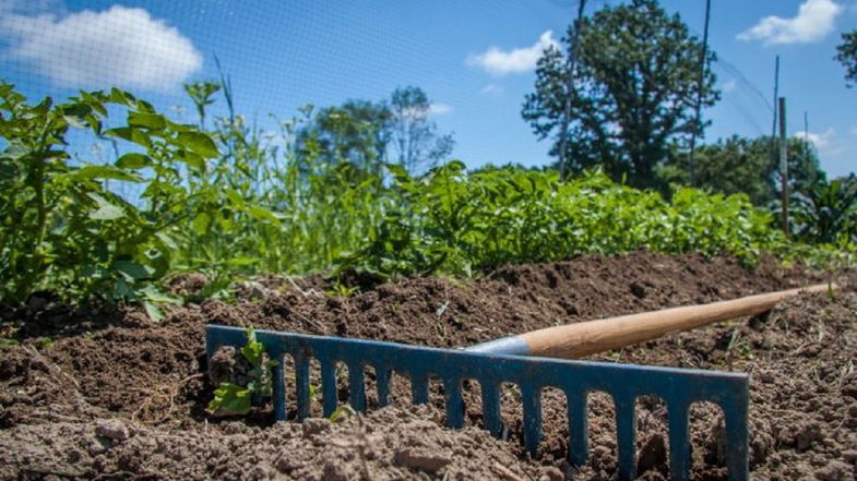 Cosenza, Slow Food organizza un incontro su “economia rurale, sociale e circolare”