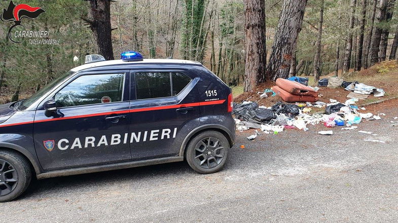Scoperte una serie di discariche abusive nel Parco nazionale della Sila