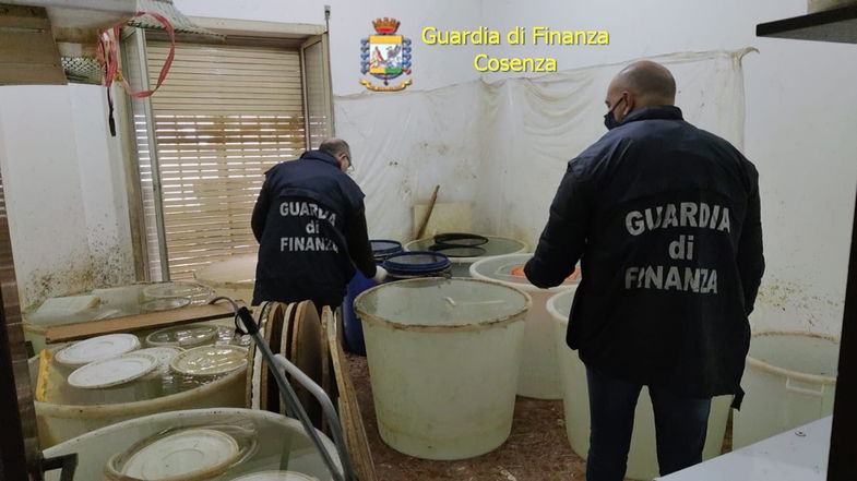 Cosenza, produce grappa di contrabbando: denunciato uomo di nazionalità cinese