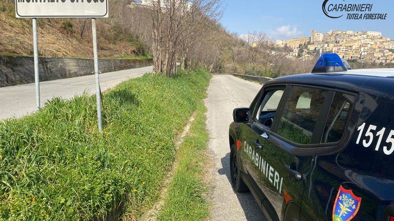 Incendiavano i boschi per rinnovare i pascoli: denunciati due pastori