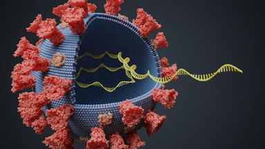 Covid, il presidente della Calabria ha chiesto una verifica sulle varianti del virus