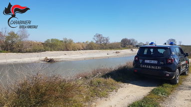 Corigliano-Rossano: occupano un agrumento abusivamente, sono 16 gli indagati