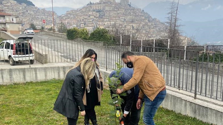Morano Calabro: una mimosa per omaggiare la donna