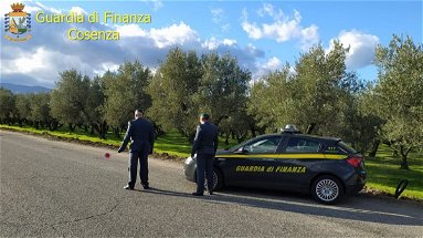 Cosenza, Guardia di Finanza: sequestro di beni per oltre 200mila euro