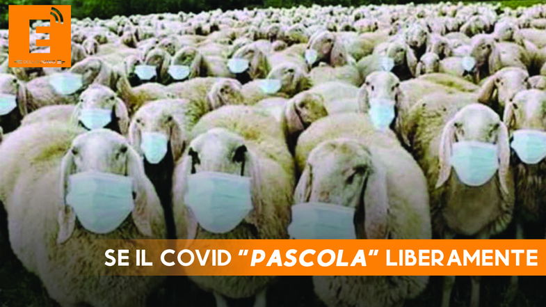 Positivi al Covid che vanno in giro liberamente, Stasi: «Un crimine che rischia di uccidere le persone»