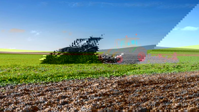 Agricoltura: per contrastare l'abbandono dei campi serve burocrazia più snella