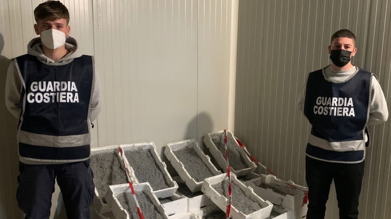 Corigliano-Rossano: sequestrate 2 tonnellate e 750 kg di novellame