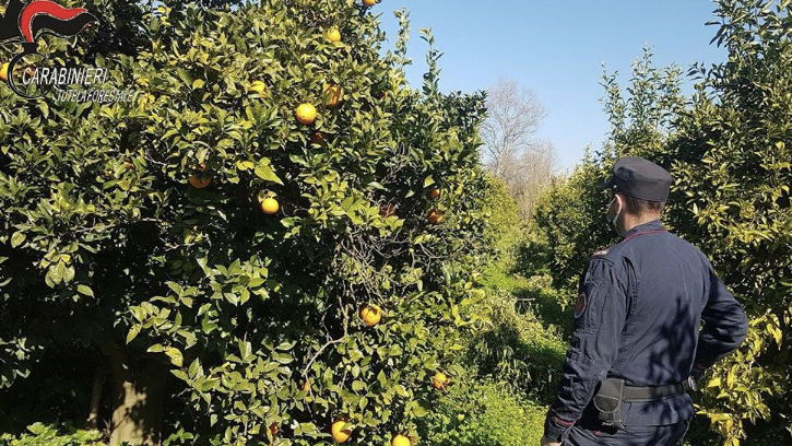 Corigliano: altri quattro indagati per occupazione abusiva di area demaniale