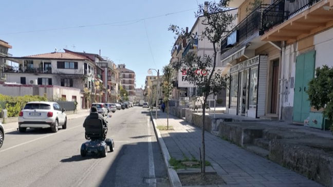 Crosia: rigenerazione urbana, piantumati nuovi alberi