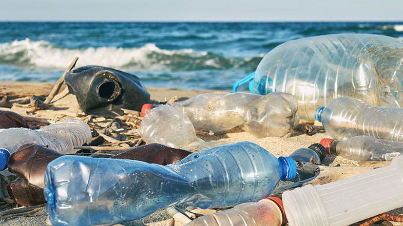 Oggi è la quarta giornata del mare e della cultura marina