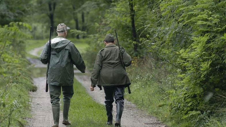 Ambiente, ripartono caccia al cinghiale e pesca sportiva