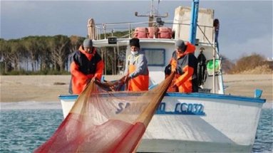 Pesca marittima, Martilotti: «C’è molta rassegnazione e confusione. Il settore pesca necessita legalità e moralità»