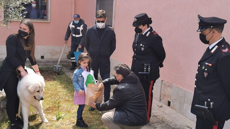 A Caloveto nasce un “grande bosco diffuso”