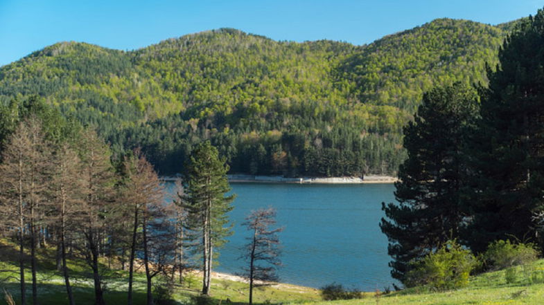 Earth Day: turismo e agricoltura per lo sviluppo sostenibile nel Parco Nazionale della Sila